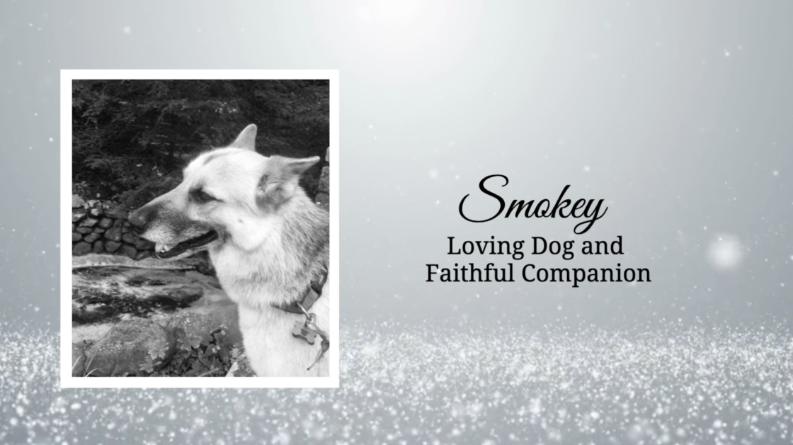 Losing a Pet Stinks: A Farewell Tribute to Smokey